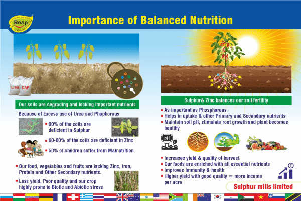 Balanced Nutrition – the need of the hour