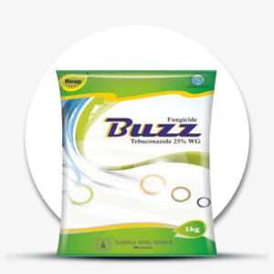 BUZZ