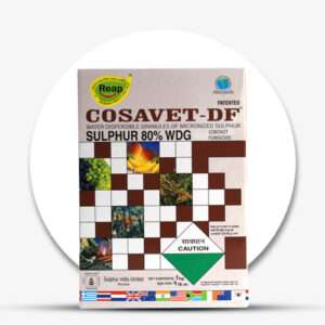Cosavet-DF