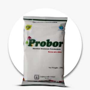 Probor2