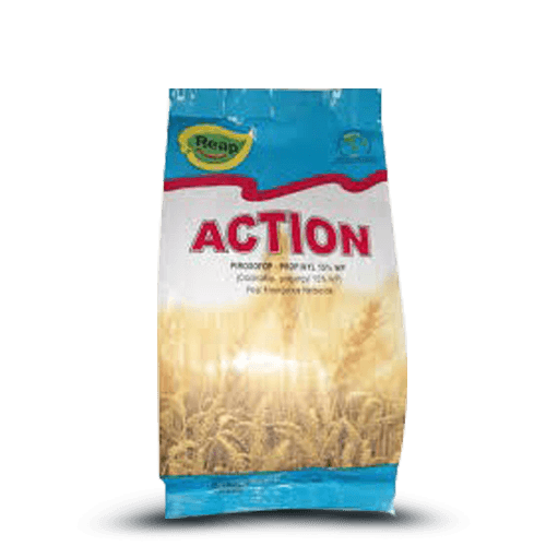 Action-1