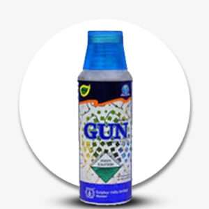 Gun