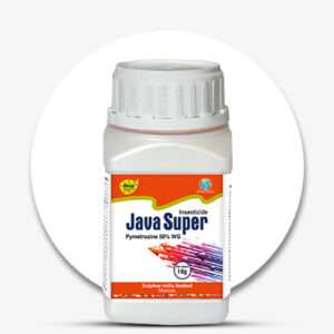 Java-Super