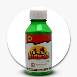 judwaa