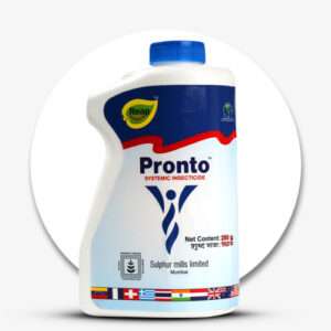 Pronto