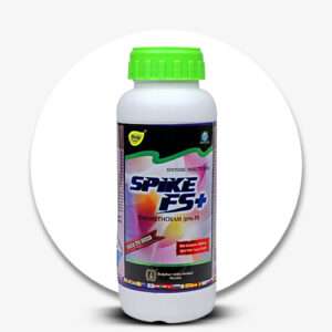 Spike-fs