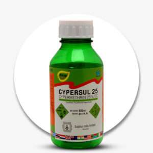 cypersul